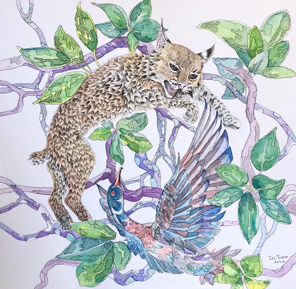 Image of Bobcat & Wood Duck