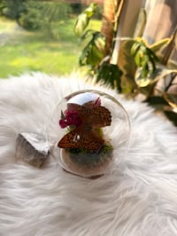 Image 2 of Amethyst Cloche