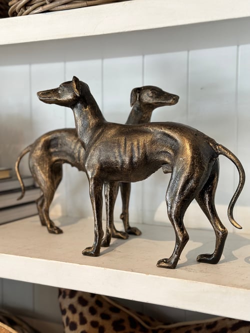 Image of Whippet Pair 