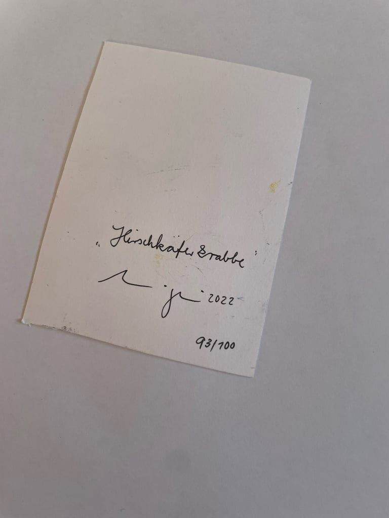 Original! Kerzentier „Hirschkäferkrabbe“ Image 2