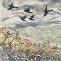 Image 5 of Birds and seaweed 