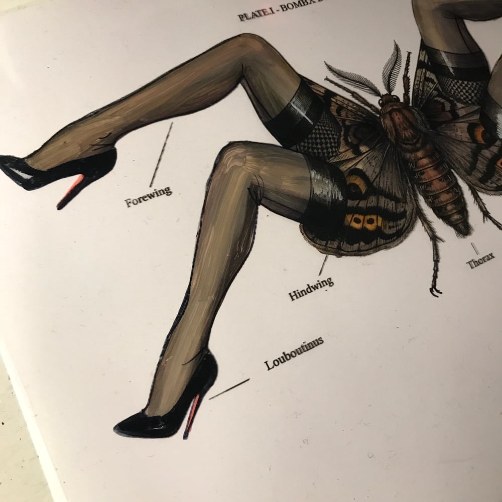 Image of Bombyx 01