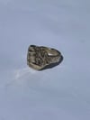 Siggy Signet