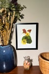 Genuine Nasturtium And Calendula Wildflower Art In 8" X 10" Frame (Item# 2022088)