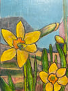 Daffodils 