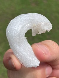 Image 8 of Ram’s Horn Selenite, Gypsum Specimen | Guizhou China #3050