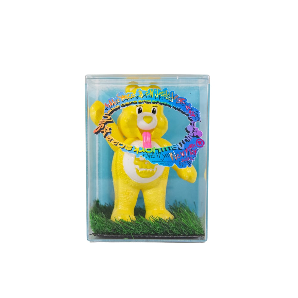 Image of Take Care Bears