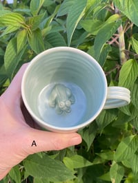 Image 3 of Frog mugs