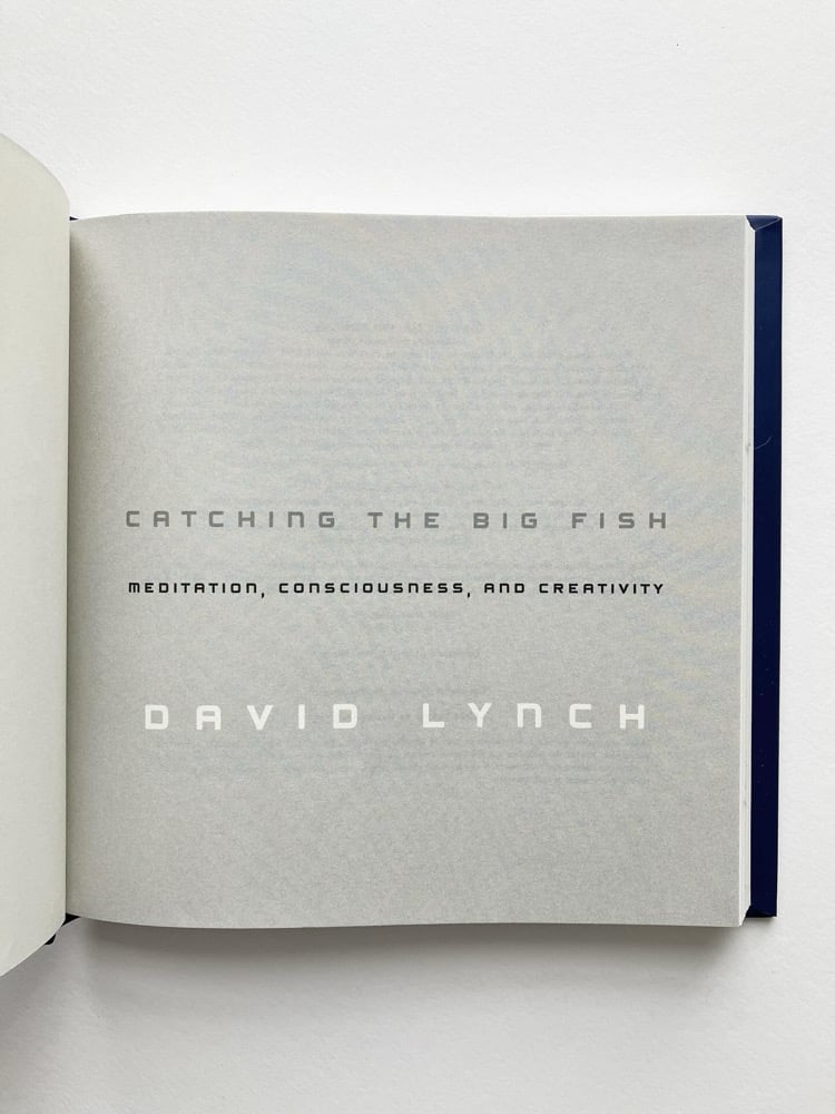 Catching the Big Fish: Meditation, Consciousness, and Creativity Image 3