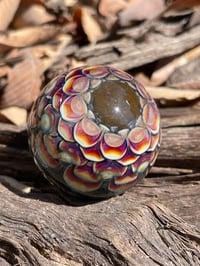 Image 15 of Amber Purple Jungle