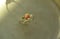 Image of 9k gold & Turmalin Ring
