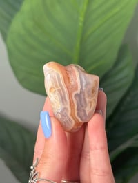 Image 2 of TUMBLED AGATE #3 -LAGUNA-