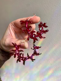 Image 1 of ♥️Burgundy Hyacinth Hoops♥️