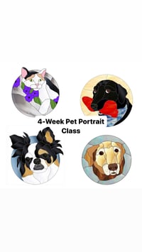 4 Week Pet Portrait Class