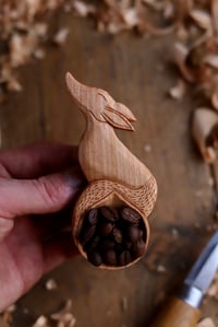 Image 4 of Fox Scoop 