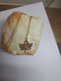 Image 5 of Autumn 🍂 