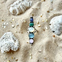 Image 1 of Tidepool Treasures