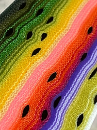 Image 5 of Rainbow Trout by Mikie