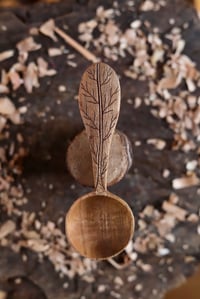Image 1 of Coffee  Scoop 