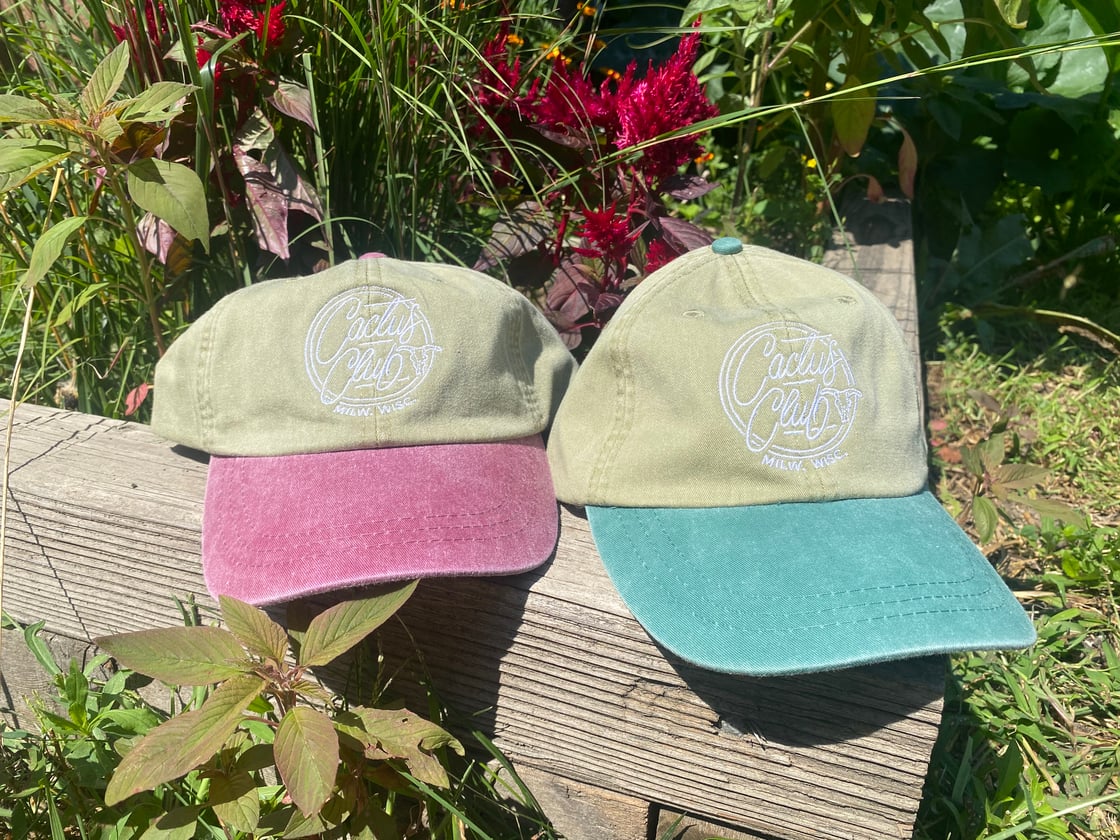 Image of NEW dad hat w. embroidered logo