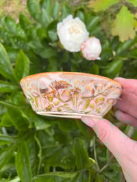 Image 5 of Mushroom Bowl