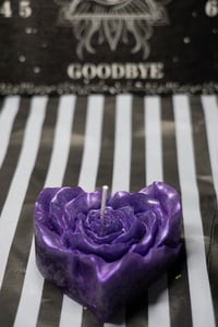 Amethyst Rose