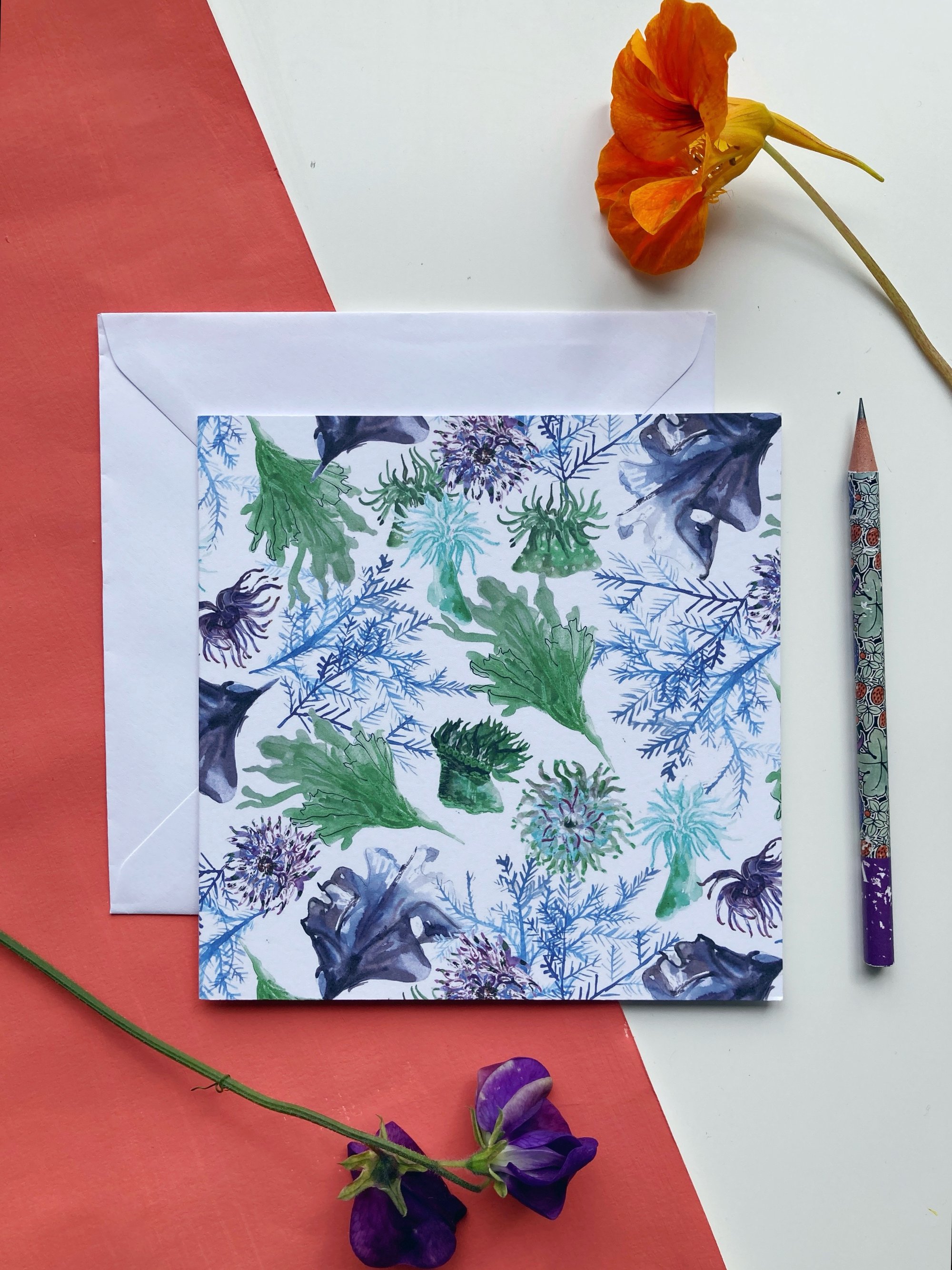 Anemone Blossoms | Greeting Card Anemone Blossoms | Greeting Card
