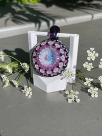 Image 4 of perfect purple pear