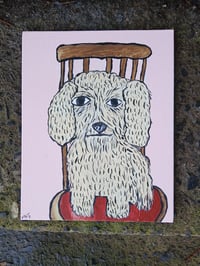 Image 2 of Crusty Dog