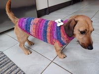 Image 3 of Snazzy Bramble 