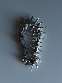 Image 3 of Centipede Fossil #2