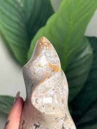 Image 6 of ORBICULAR SEA JASPER FLAME -MADAGASCAR-
