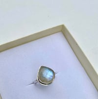 Image 1 of Bioluminescence 