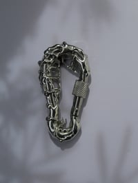 Image 6 of Spider Web - Carabiner