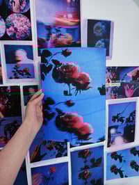Image 7 of PICK ROSES AT NIGHT II