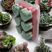 Image 5 of Watermelon Wax Melt
