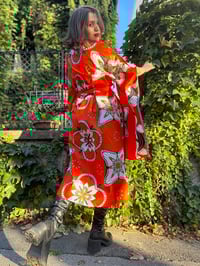 Image 4 of Orange Bliss