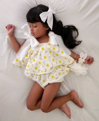 Image 14 of Cottontail