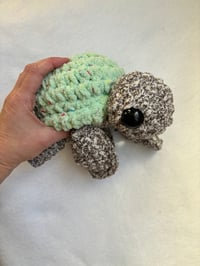 Image 5 of turtles 