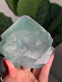 Image 7 of XL TEAL CUBIC FLUORITE -CHINA-