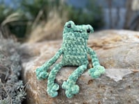 Image 1 of Leggy Frog