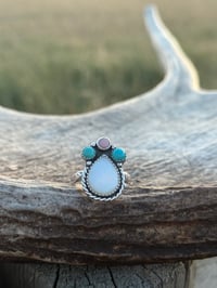 Image 1 of The Painted Prairie