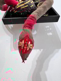 Image 4 of Herpetology- Brian Butzier