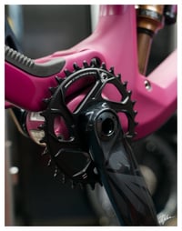 PRINT: SRAM MTB CRANKSET ON TRANSITION SMUGGLER