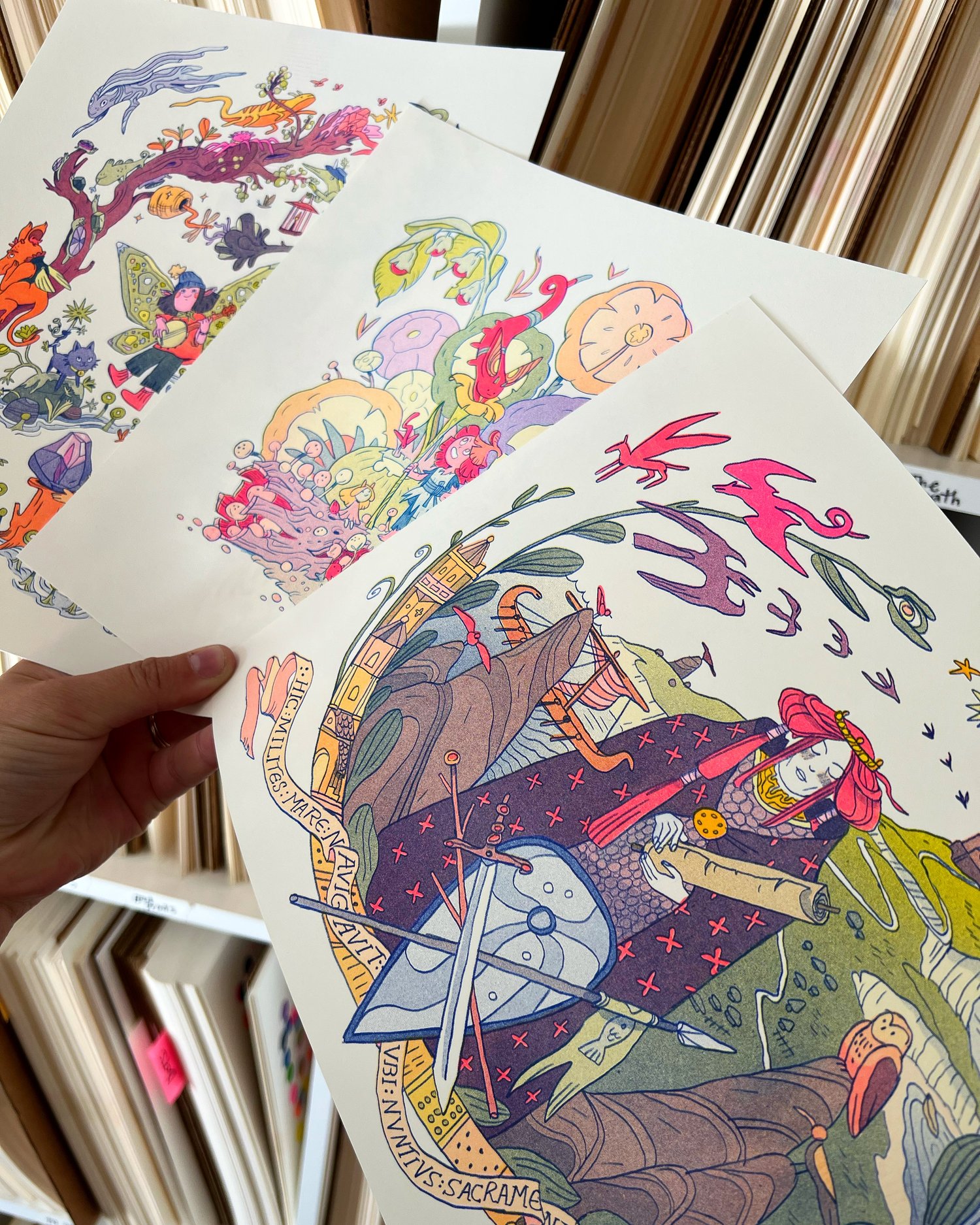 Mystery Print Package x 3