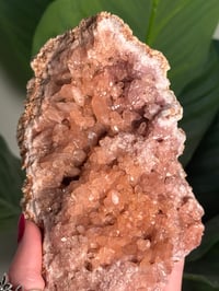 Image 2 of HQ PINK AMETHYST GEODE -ARGENTINA- C