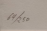 Image 2 of Peter Stampfi, "Wildcat 2"