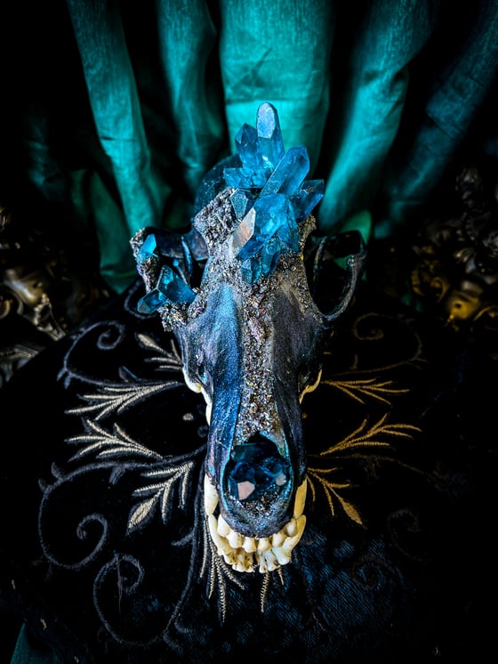 Image of Teal Blue Quartz & Carborundum - Coyote Skull 