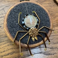 Image 1 of Amapnid (c, 3.5 inches) 