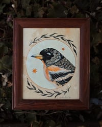 Image 3 of Brambling Bird Original